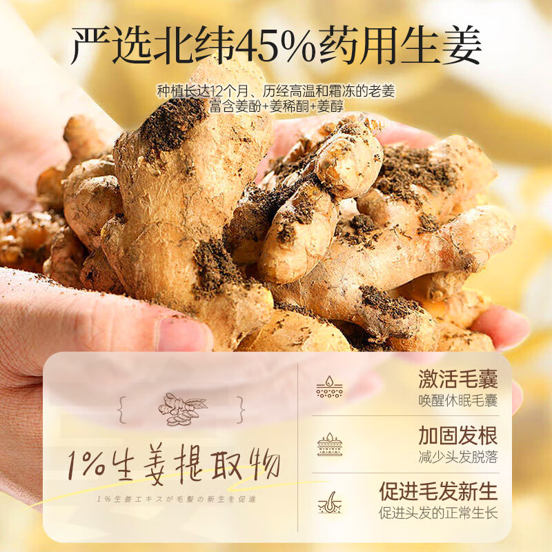 茵倩生姜防脱育发洗发水 育发增发去屑止痒控油蓬松防脱发固发 【持证防脱】生姜防脱育发洗发水*1