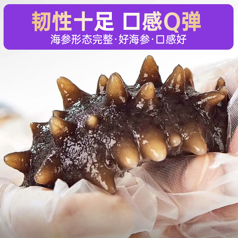 小兵海参候勇推荐-正宗辽参鲜食海参|正宗辽刺参|不挂冰|温水解冻即食 【1斤体验装】单斤直降100元 10-12头/斤