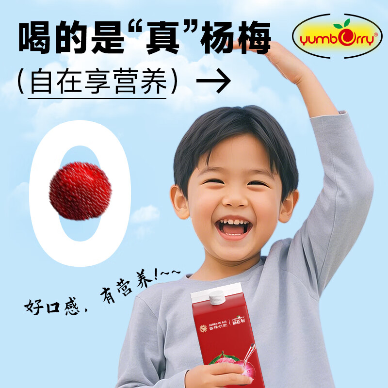 扬百利(yumberry)杨百利杨梅果汁鲜果鲜榨杨梅汁【66颗杨梅】酸甜果蔬汁大瓶1L装 66颗杨梅汁1L装*2瓶
