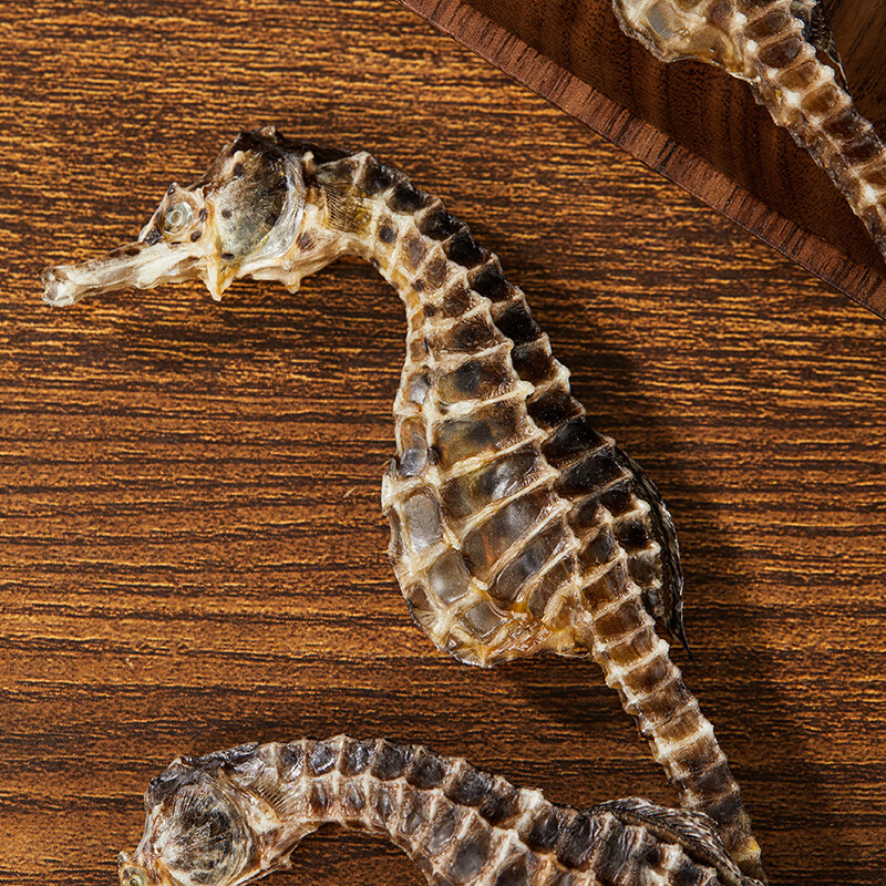 碧水绅蓝（EcoSenlay）高端优质海马干滋补营养礼盒儿童家人男女滋补营养膳食海马粉 1对3克 【共5对】 1个*1盒