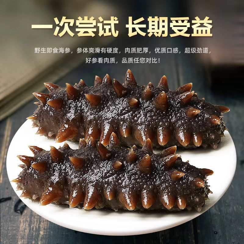 探海嫂【尝鲜】即食海参大连正宗底播辽参 独立包装 一斤装 单根50g左右 一斤装 头