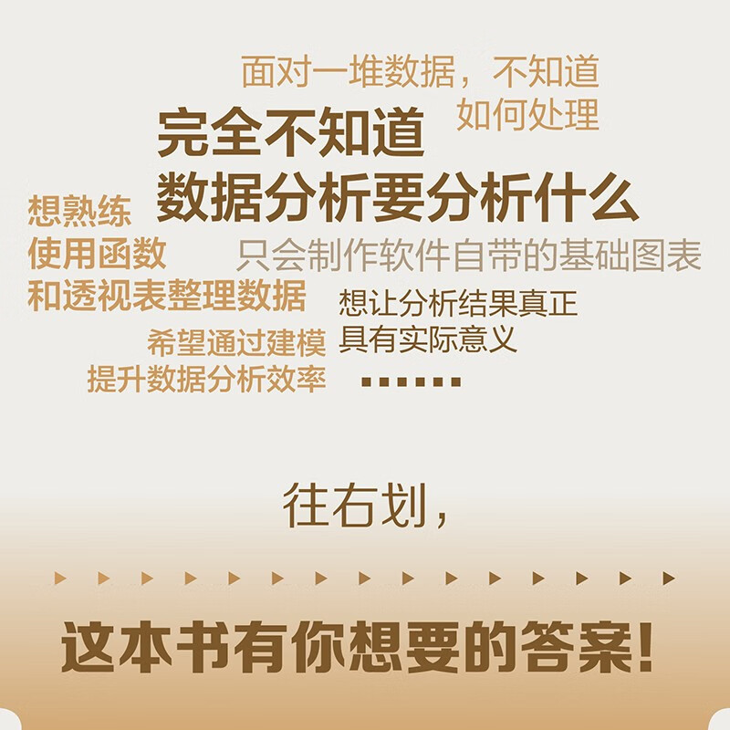 Excel数据分析方法、技术与案例（异步图书出品）