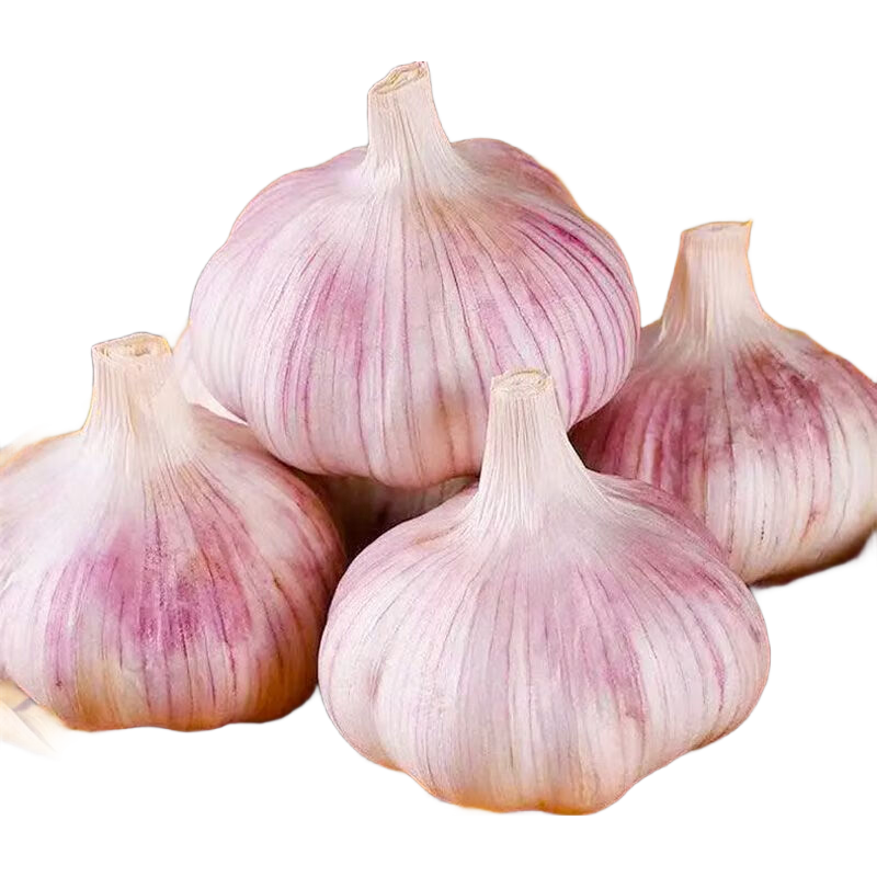 【热卖中】正宗紫白皮干大蒜农家大蒜头清仓批发商用便宜新干蒜 【带箱2斤，净重1.6斤以上】品质大蒜中果4-5cm