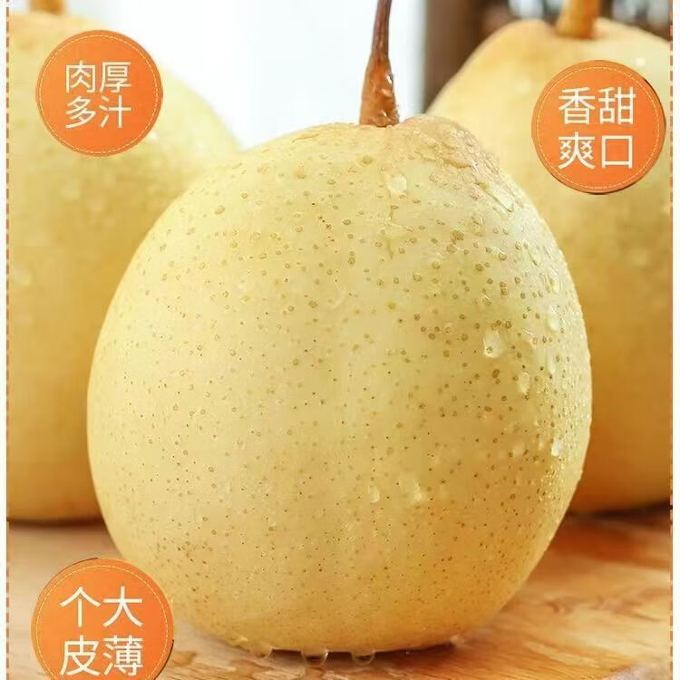 鸭梨水晶梨新鲜水果大鸭梨当季脆甜多汁 3斤