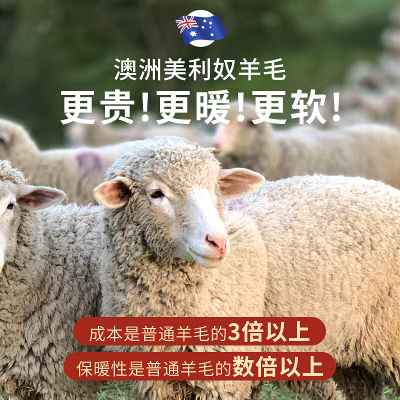 美·雅·挺德绒保暖背心女加绒加厚免穿文胸自带胸垫无痕大码200斤保暖内衣 豆沙粉 M (80-100斤)