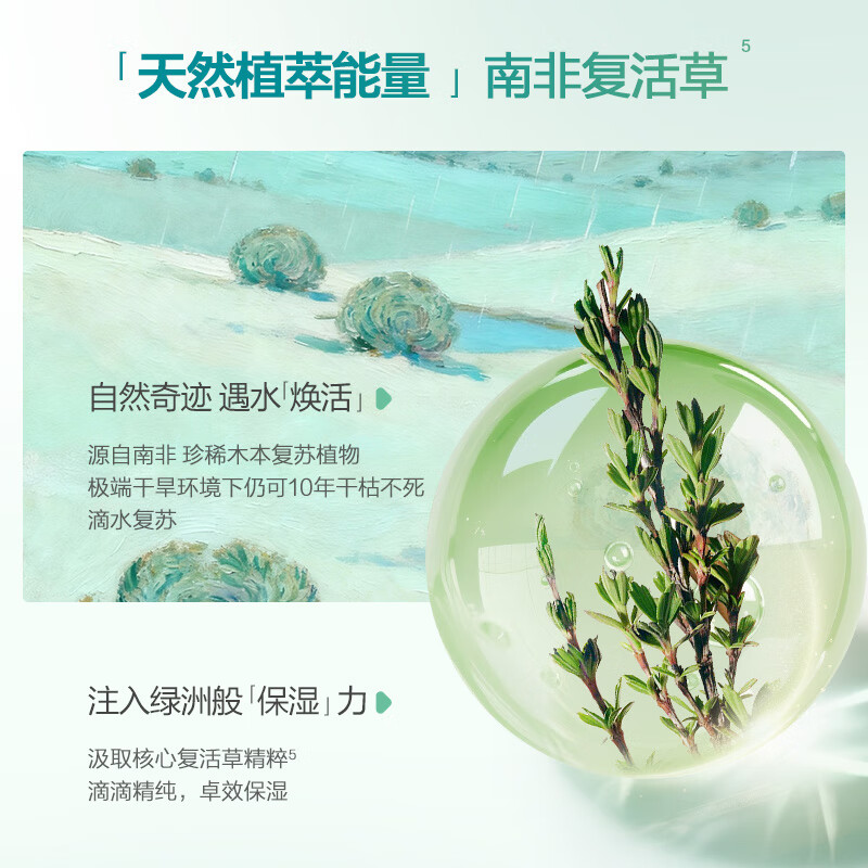 春夏(SPRING&SUMMER)春夏复活草舒缓保湿补水乳液洁面霜护肤套组敏肌适用 水+乳