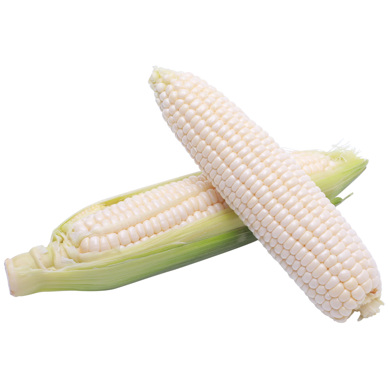 �ļ�С��������ٹ�С�����������������Ʒ��С�S�Ѽ��� ����������Լ20�� 3Ԫ