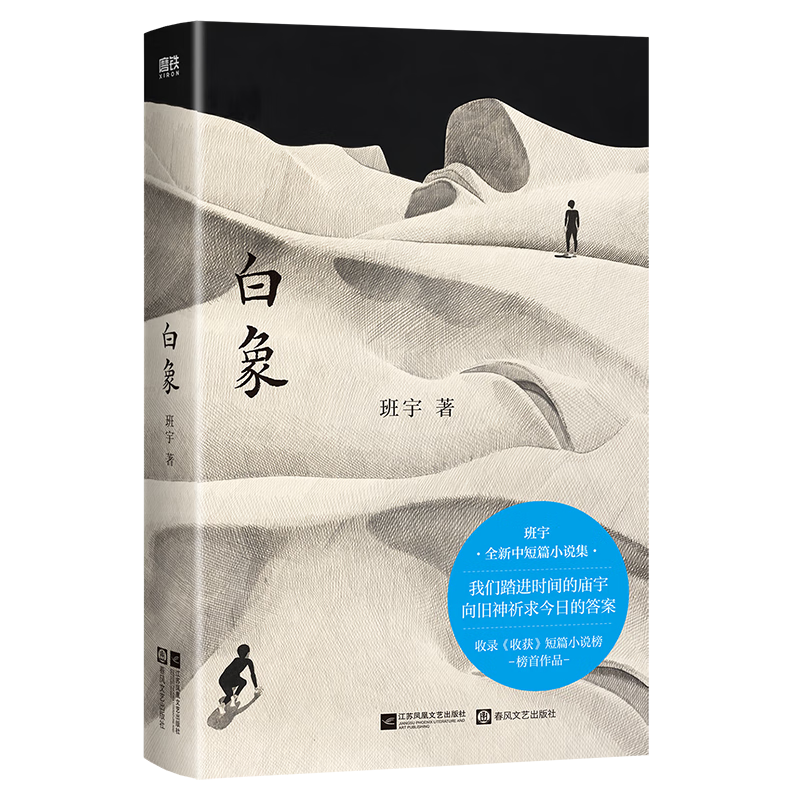 白象 班宇 中国当代小说江苏凤凰文艺出版社 新华书店正版