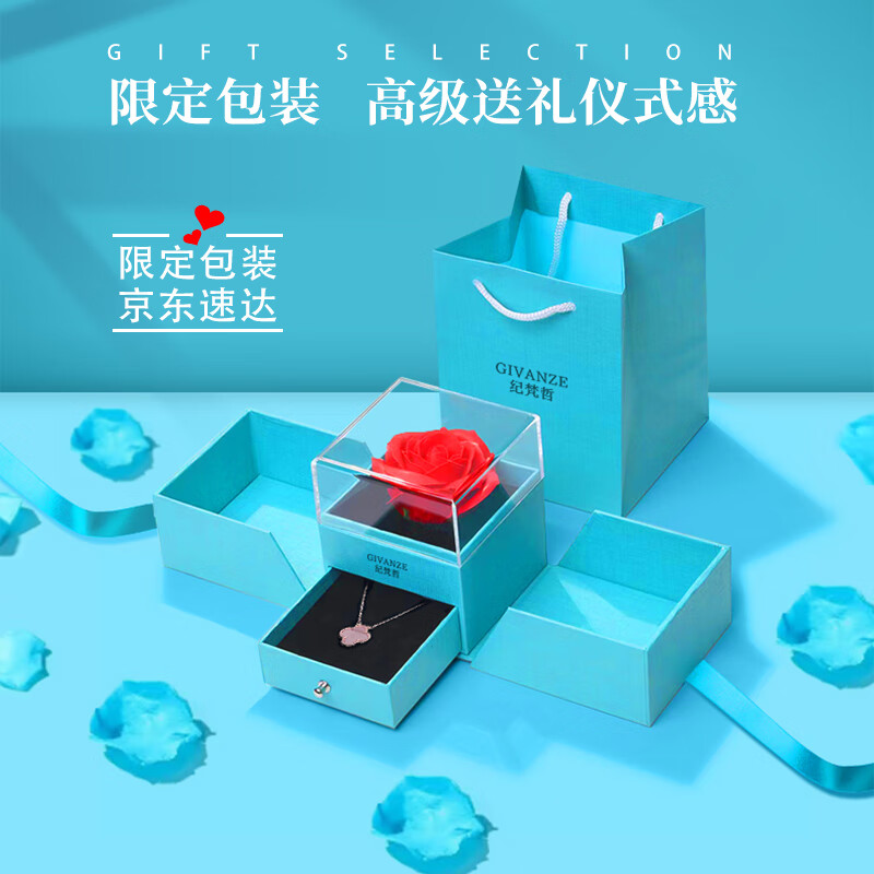 纪梵哲轻奢鲁伯特之泪项链女款2025新款月光石吊坠首饰生日礼物送女友 鲁伯特之泪项链【白金色】