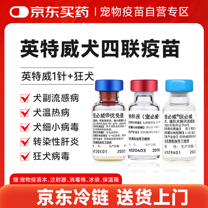 Ӣ����Ȯ���������������⿵1��+�������Ȯ1��