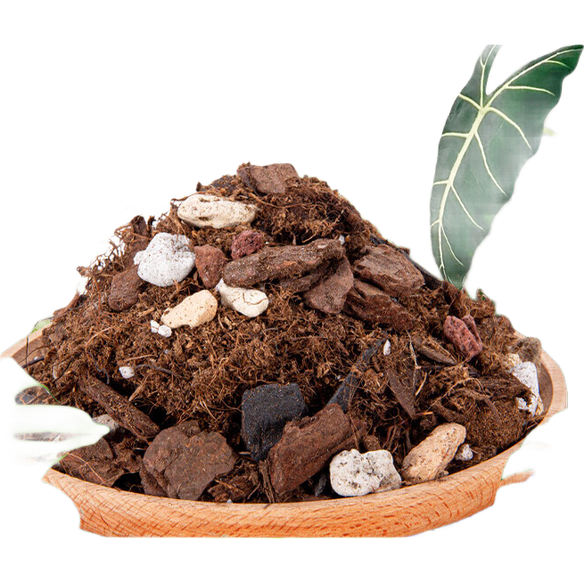 �����ǿ�ר��Ӫ�����걳����̿������͸��������������Ƥ��ֲ�� ��25LװԼ9.5��˺�һ������