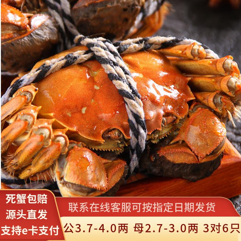 【活蟹】水淼鲜 洪湖大闸蟹鲜活螃蟹生鲜现货海鲜水产团购礼品6只 公3.7-4.0两 母2.7-3.0两 3对6只