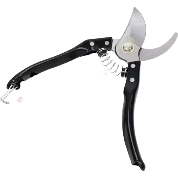 ������Ʒ �������֦�� ���ۿ� ����԰��ר�� 1������ 3.98Ԫ