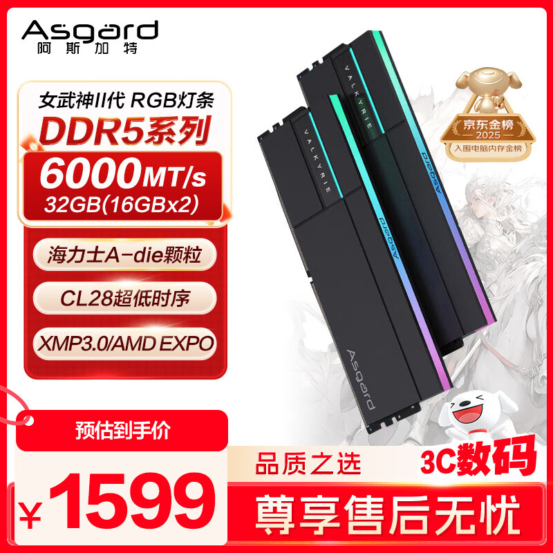 阿斯加特（Asgard）32GB(16GBx2) DDR5 6000 台式机内存条 女武神·瓦尔基里II代 RGB灯条 海力士A-die CL28 极夜黑