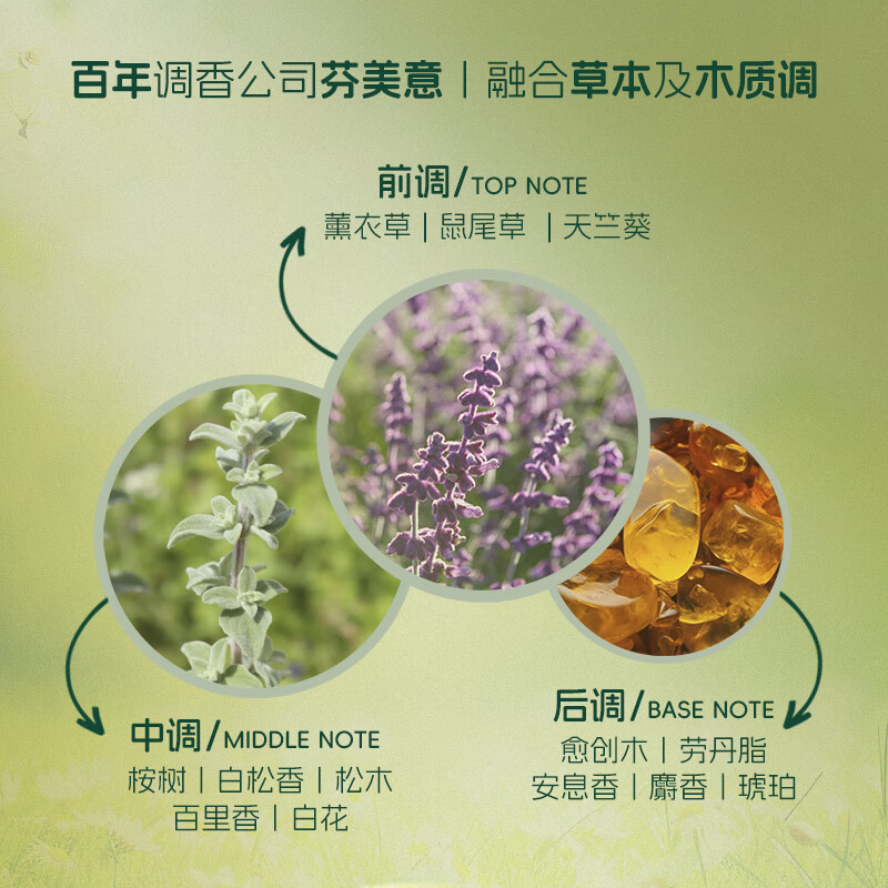 INGRAM'S英格莱恩南非小绿膏护足霜脚后跟干裂秋冬防皲裂手裂香樟草本精华 香樟草本乳霜150ml*1瓶