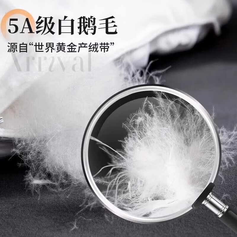 浪莎（LangSha）A类羽丝绒被95鹅毛绒被冬被加厚保暖鸭丝绒被6-10斤秋冬被子被芯 白色【抗寒保暖 混带95白鹅绒】 200*230cm8斤【室温0-5℃】