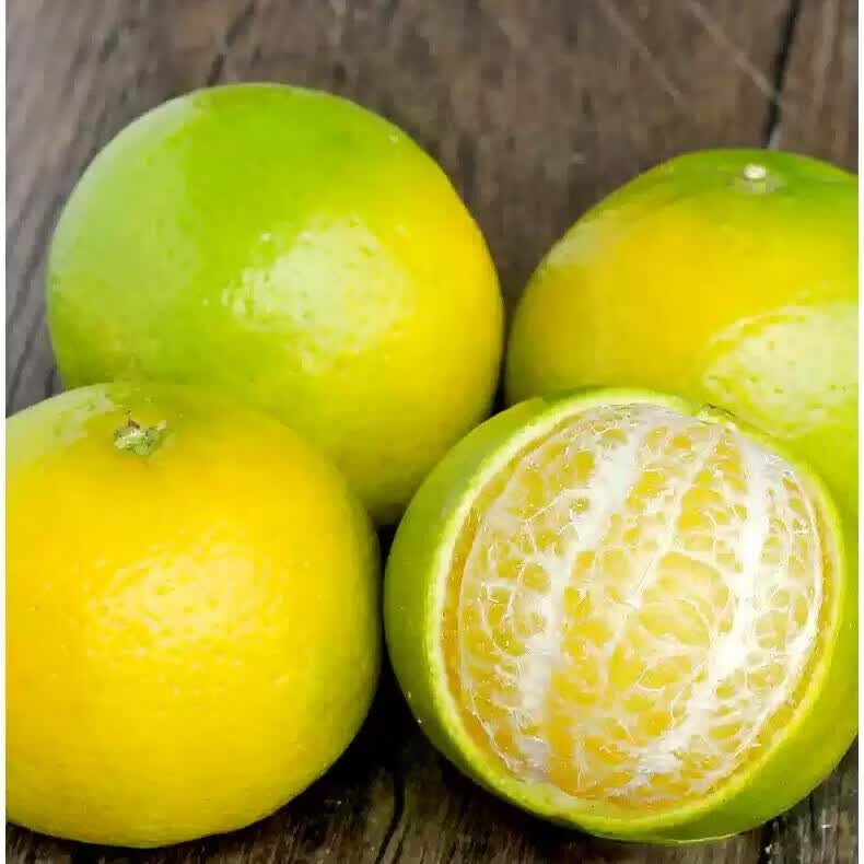 正宗广西皇帝柑净重3斤