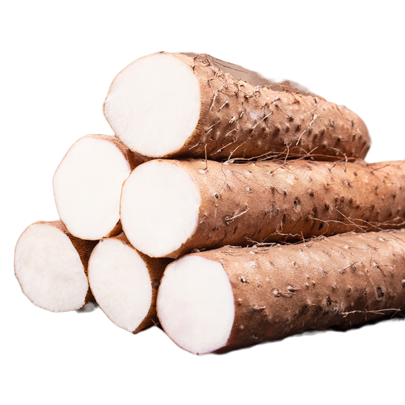 ̩Դ ɽҩ ̳ɳ  320-30cm11.9Ԫȯ