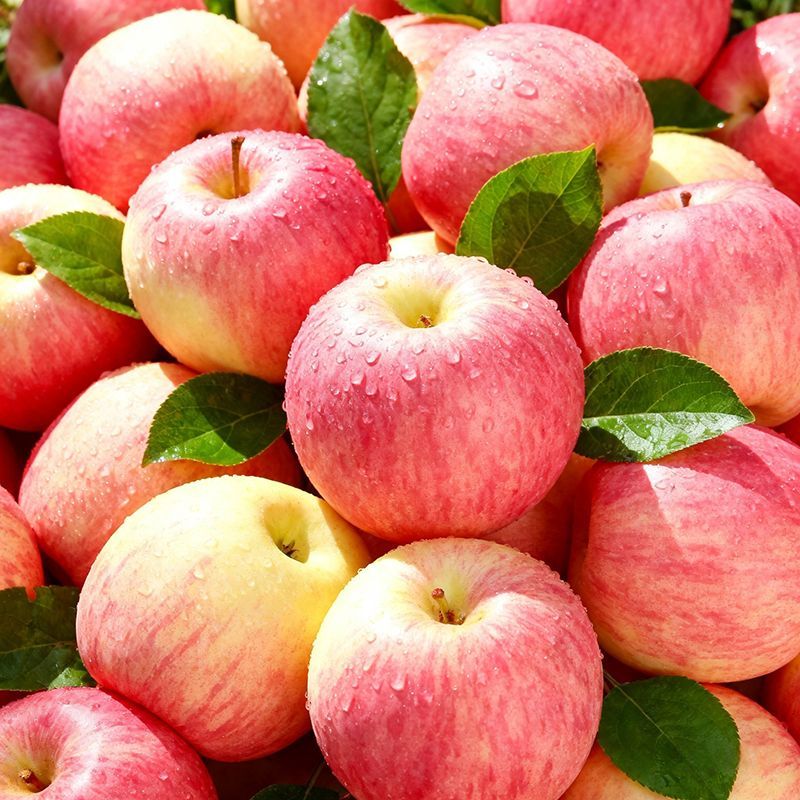 小博生鲜山西红富士苹果25年当季水果生鲜脆甜新鲜时令平安果产地直发整箱 【8.5斤】单果65mm+山西红富士