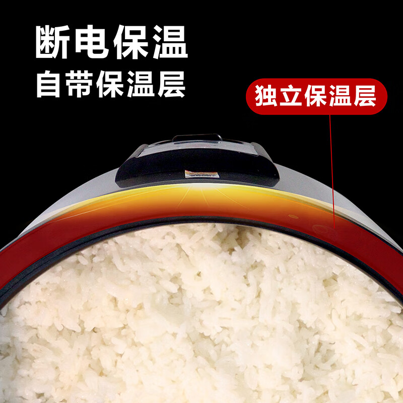 三角牌（Triangle）商用大容量电饭煲 10-30人食堂饭店酒店专用 三维立体加热 大西施电饭锅 多功能蒸煮焖炖煲汤锅 10L 全钢款-加厚不粘胆【10-15人】｜10L