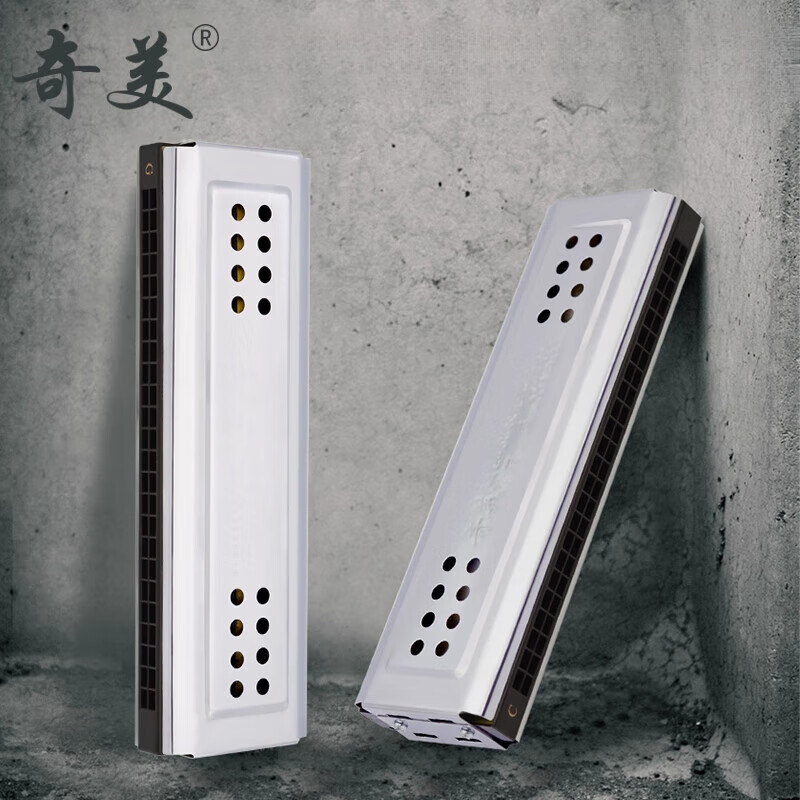 奇美雙面口琴24孔復音C調G調學(xué)生用教學(xué)初學(xué)兒童入門(mén)自學(xué)復音口琴 CG調雙面口琴+吹奏法+擦琴布