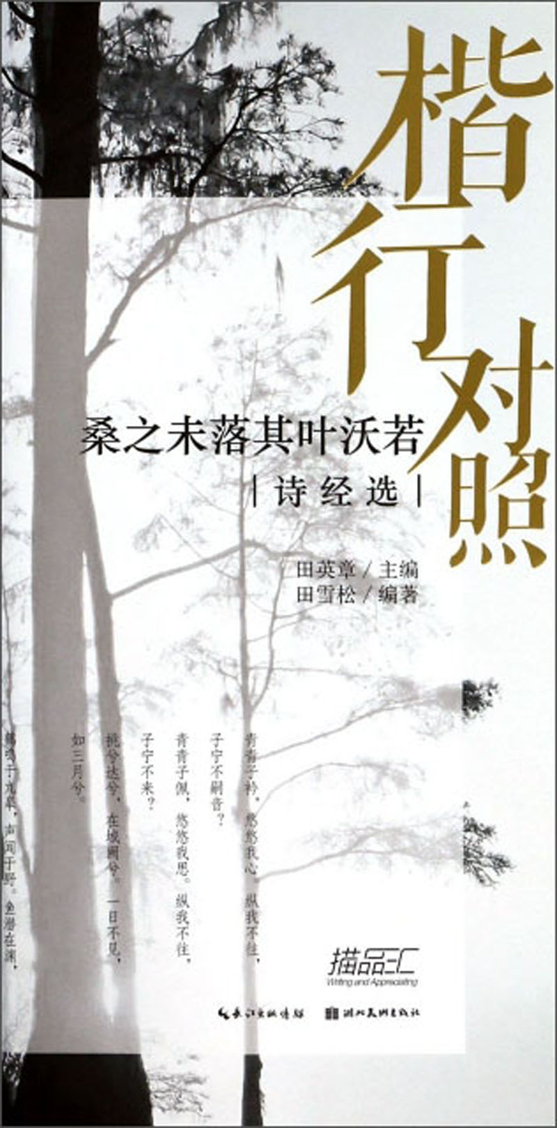 桑之未落其叶沃若（诗经选楷行对照）