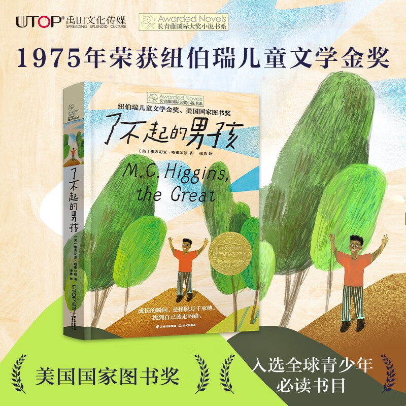 长青藤国际大奖小说了不起的男孩 纽伯瑞儿童文学金奖 无惧权威、独立自强等主题三四五六年级中小学必读影响孩子一生的国际儿童文学奖经典名著课外阅读 