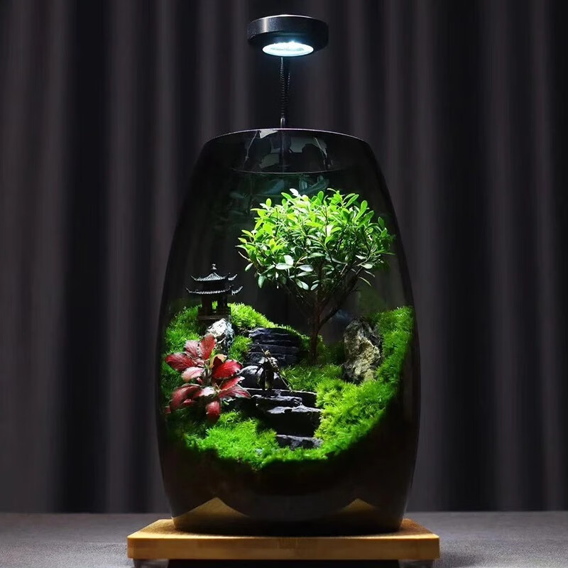 封茗【生命之树】生态瓶苔藓微景观青苔造景缸植物办公室绿植桌面盆栽 步步高升(悟空版)单景观