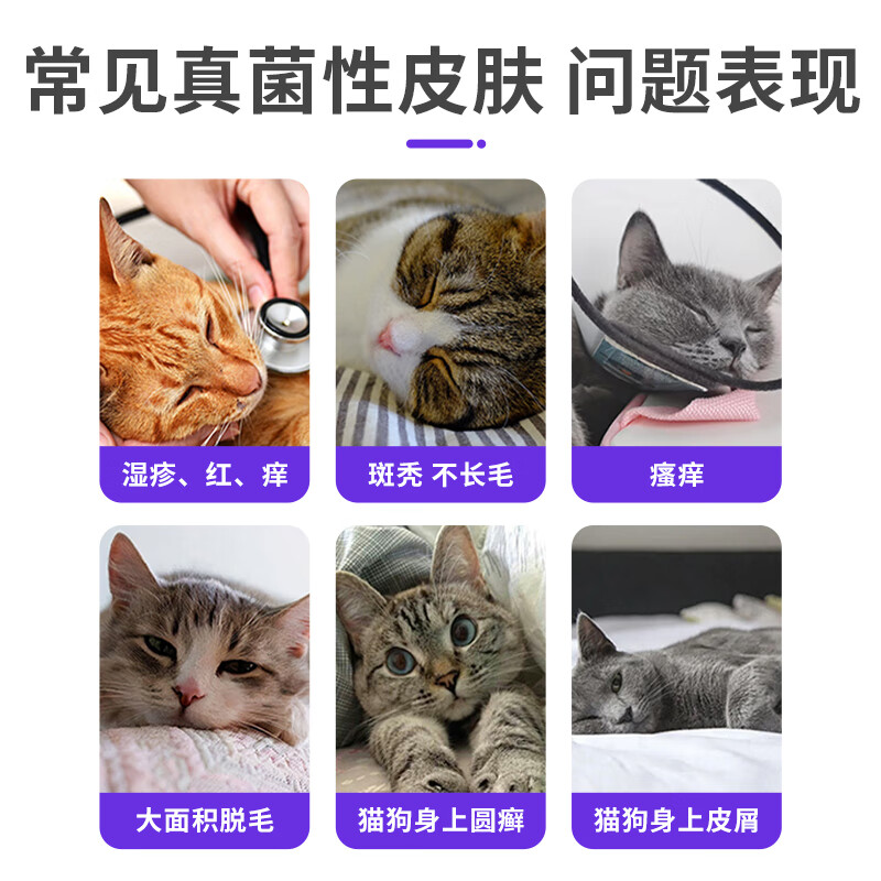 荣佳润伊曲康唑猫癣口服药猫癣狗癣马拉色菌犬小孢子菌真菌皮肤病专用药 伊曲康唑 10ml*1瓶 【送肝精口服液】