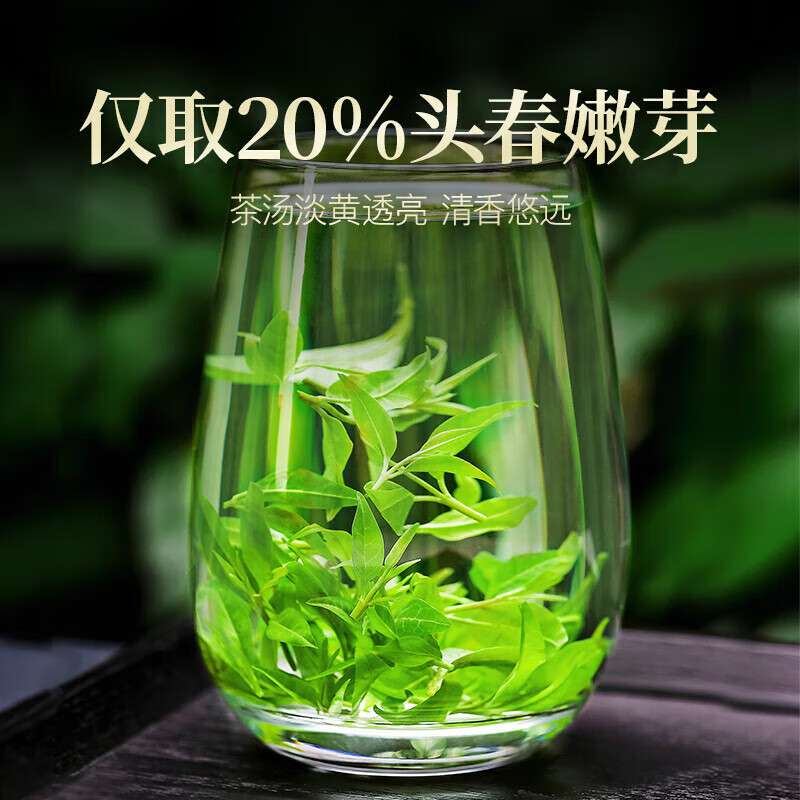 朕皇同仁堂小叶苦丁茶特级新茶有什么作用和功效降i血糖血压血脂清肝 【1盒体验装】70克/盒