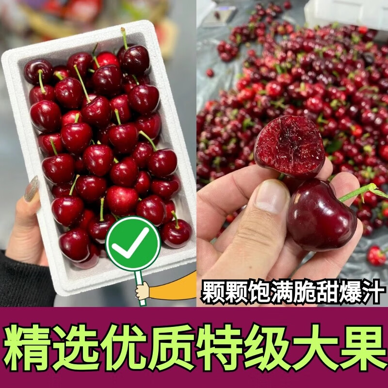 智利车厘子新鲜水果包邮5斤礼盒装当季整箱孕妇进口大樱桃3j4j 1斤(净重) 大果 J 单果26-28mm