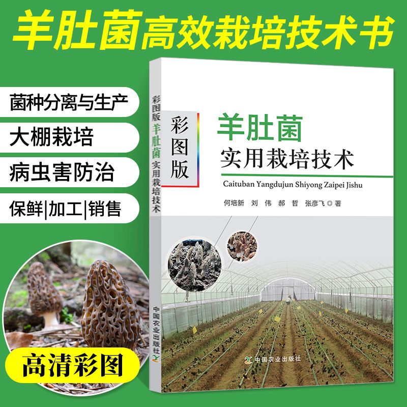 彩图版羊肚菌实用栽培技术羊肚菌种植新技术书大棚高效种子书籍 羊肚