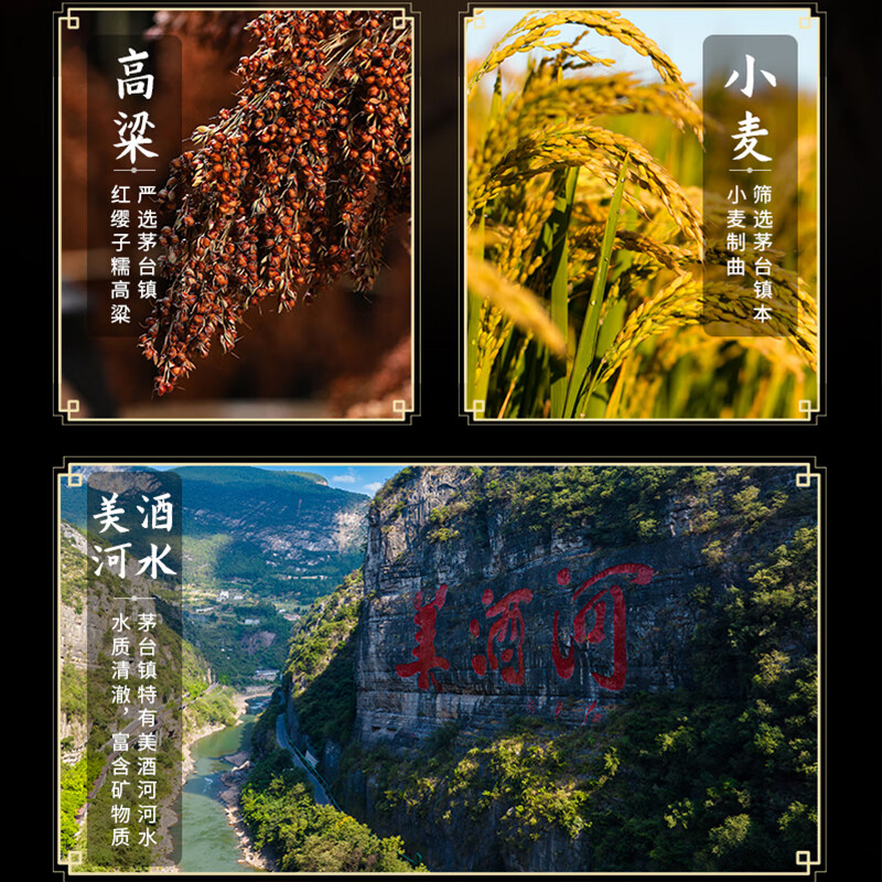 固酱王子国酱王子贵州茅台镇酱香型白酒纯粮坤沙酒粮食高粱酿造口粮酒53度 53度 500mL 6瓶 整箱