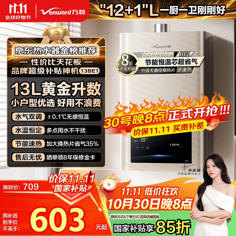 万和（Vanward）【神舟13BE1】【国家补贴15%】13升燃气热水器天然气水气双调恒温家用节能省气防冻强排式以旧换新
