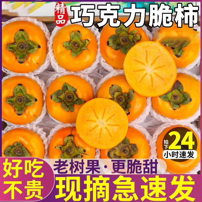 粤迎广西恭城脆甜脆柿柿子时令糖心柿黄甜脆柿子整箱巧克力脆皮柿子 5斤精选装【脆甜好吃】净4.5斤