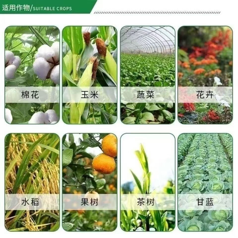 磷酸一铵高效水溶肥磷酸一铵农用叶面肥磷肥氮肥全水溶复合肥正品 50斤整袋