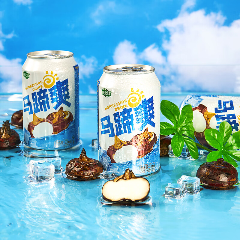 康之味马蹄爽送礼0添加真实荸荠果肉果味聚会饮料果汁 马蹄爽310ml*6听