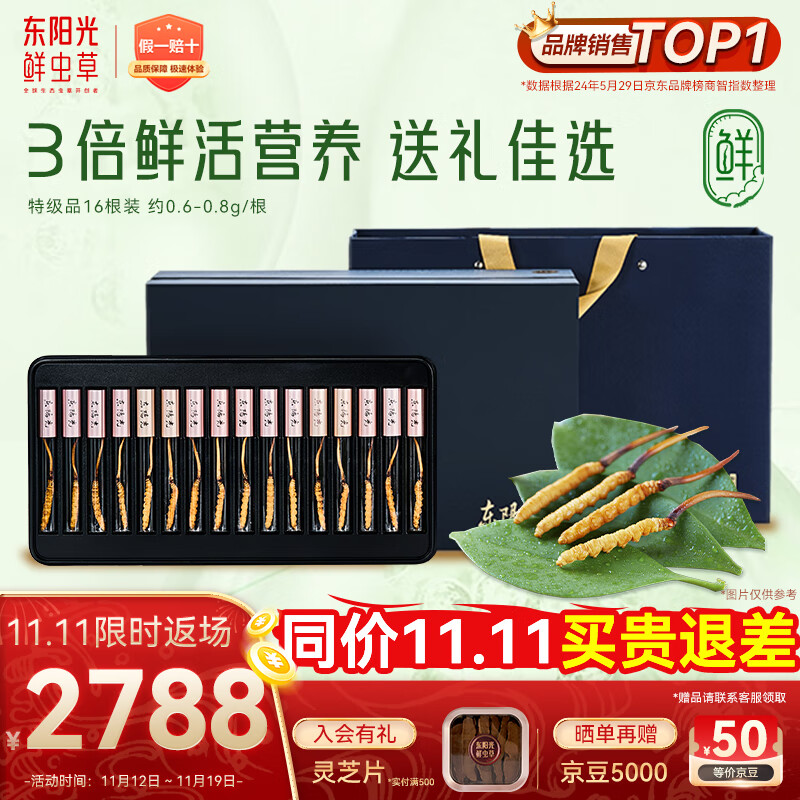 东阳光鲜虫草0.6-0.8g/根16根新鲜冬虫夏草补品送长辈老人源头直发包邮