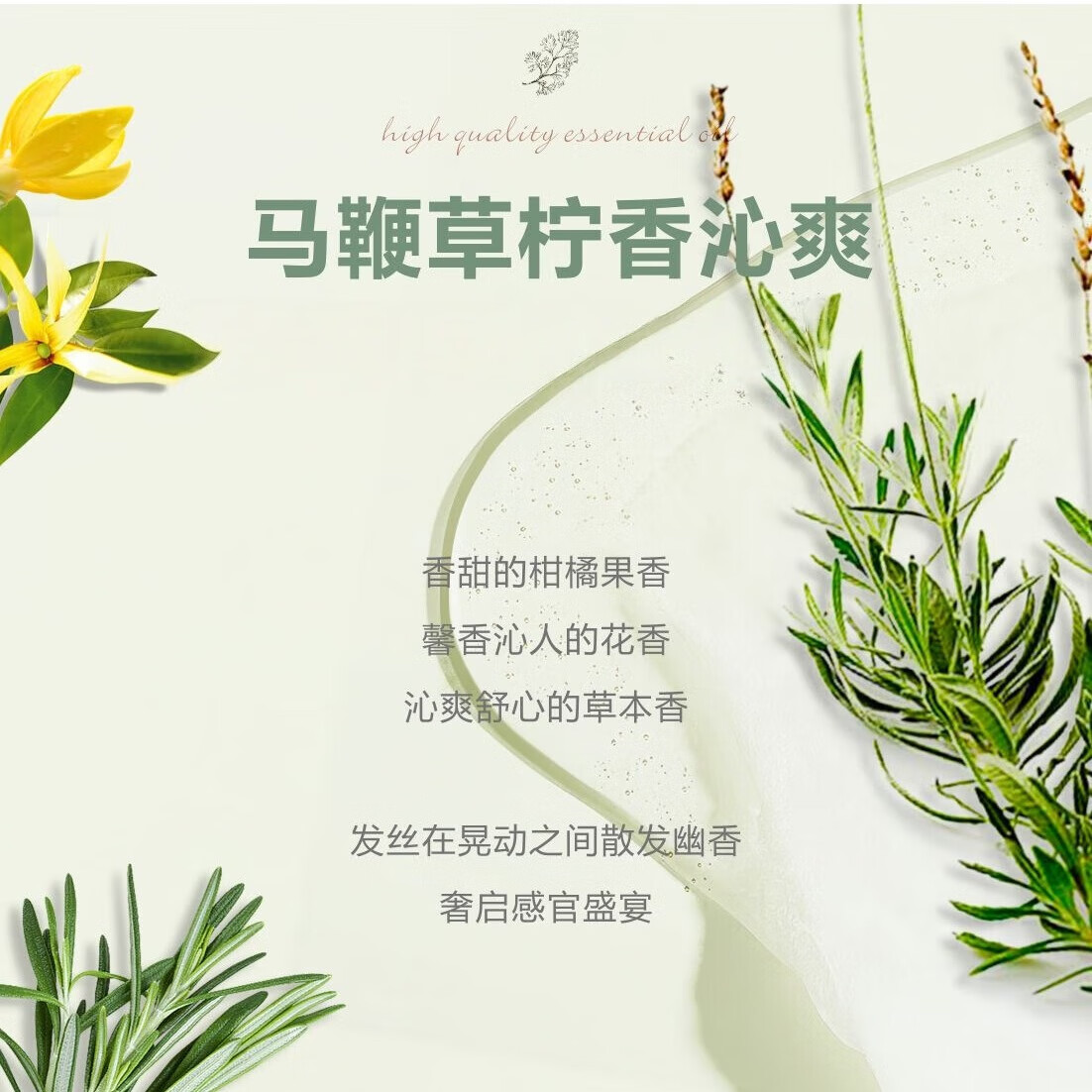 芳香世家香海岸植物精油洗护沐浴套装 保湿柔顺持久留香 山茶籽洗发乳500ml+草本精油润发乳500ml
