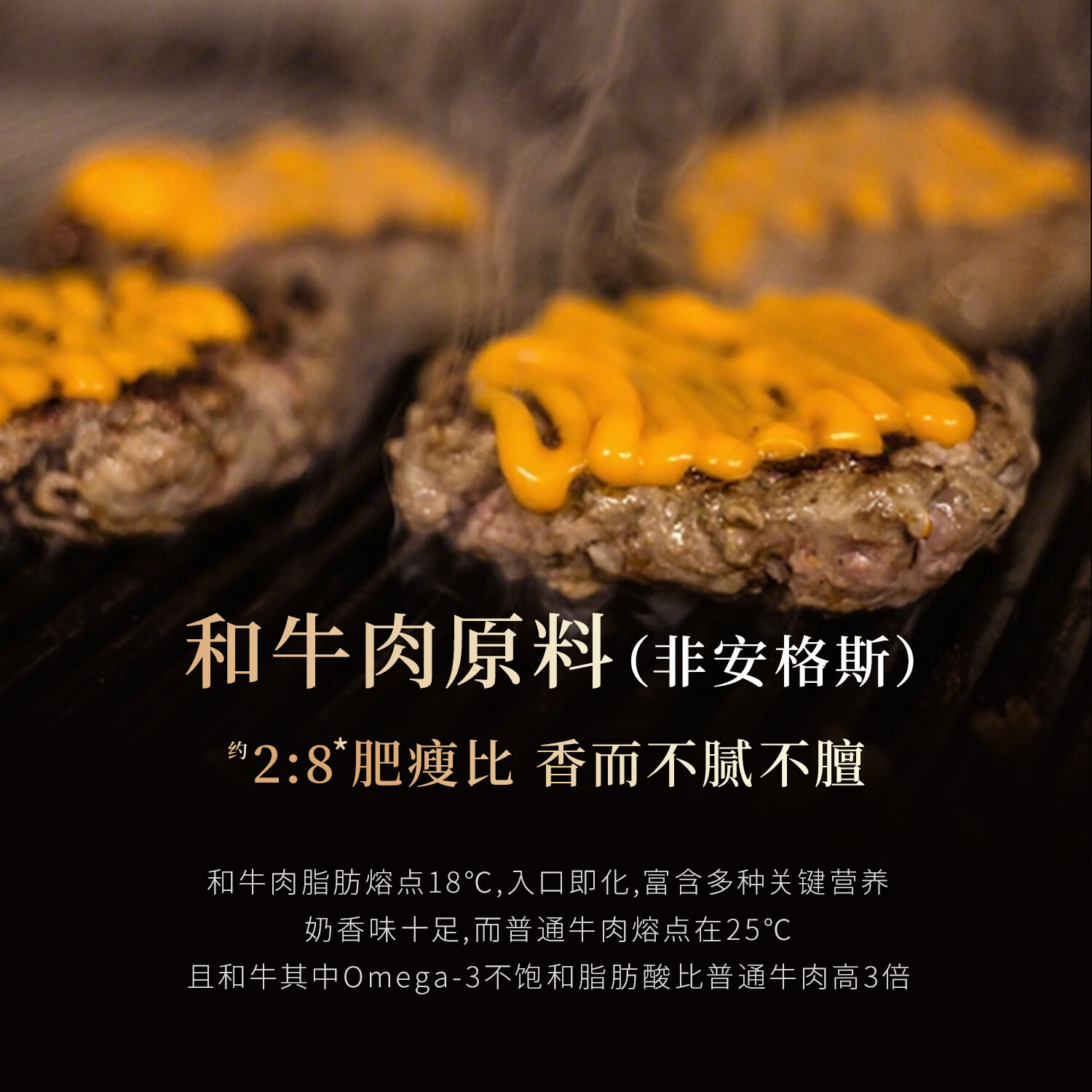 AACO澳洲进口和牛牛肉饼M9原切谷饲330天0添加低脂汉堡肉饼 澳洲和牛肉饼100g*10片