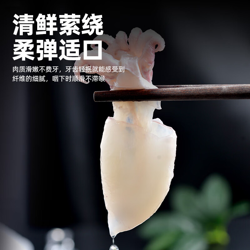应鱿尽鱿新鲜精品鲜活冷冻墨鱼仔鱿鱼小乌贼三去免处理火锅捞汁生鲜食材 【小号三去墨鱼仔】 350g(净重) 5袋(净重3.5斤)