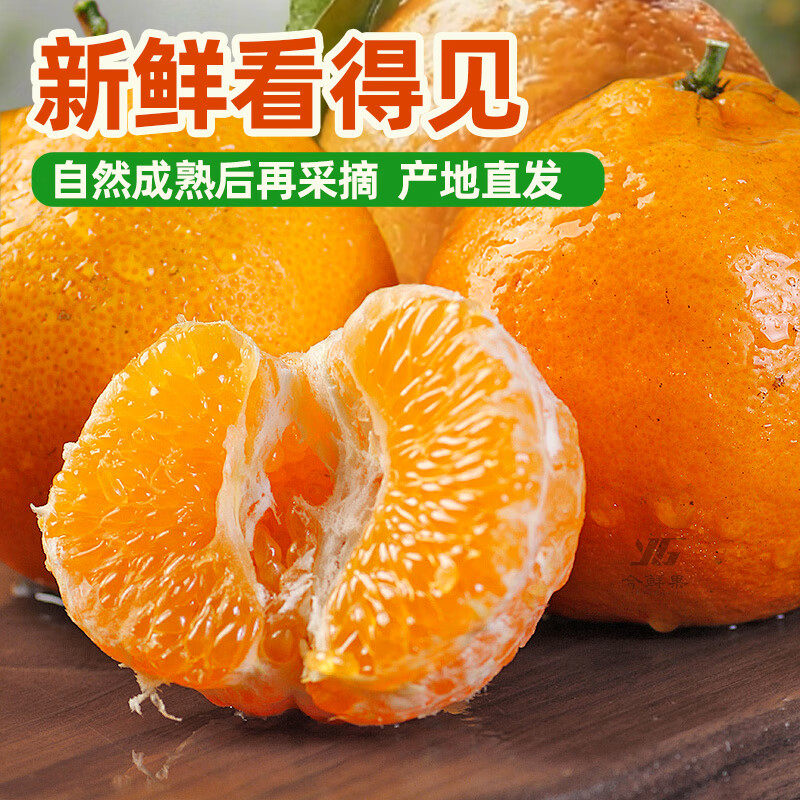 今鲜果四川春见耙耙柑新鲜水果应季柑橘子桔子粑粑柑孕妇水果 统货直发(普通快递) 真·耙耙柑净重8斤/单果80mm+
