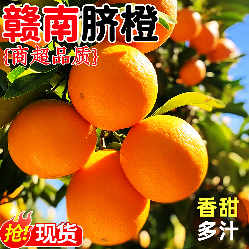 赣南脐橙当季水果新鲜采摘江西橙子皮薄多汁应季水果节日 【60%人选】净重9斤80mm+
