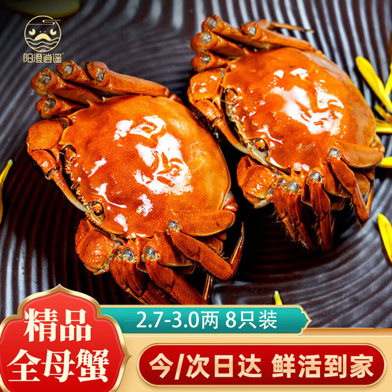 【活蟹】阳澄逍遥大闸蟹鲜活螃蟹全母2.7-3.0两8只现货中秋送礼盒生海鲜湖河蟹次日达