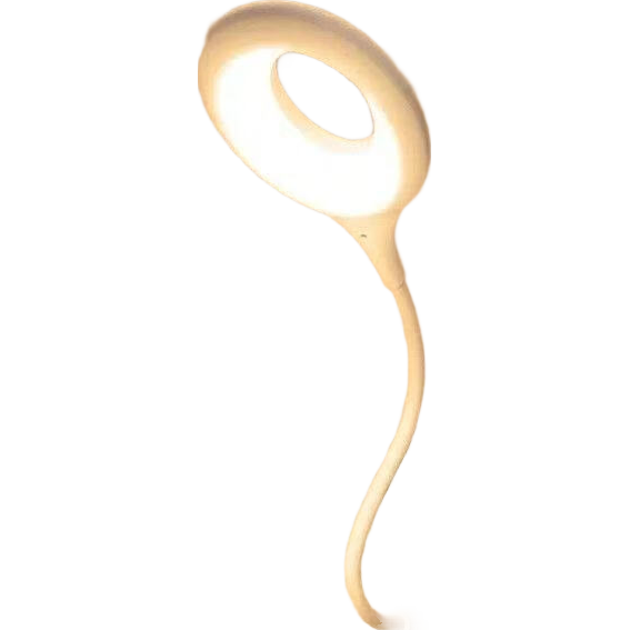 ��������Сҹ�� 1��װ 1Ԫ