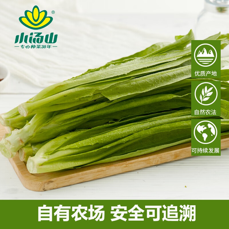 小汤山 油麦菜 300g 基地直供新鲜蔬菜安全可追溯
