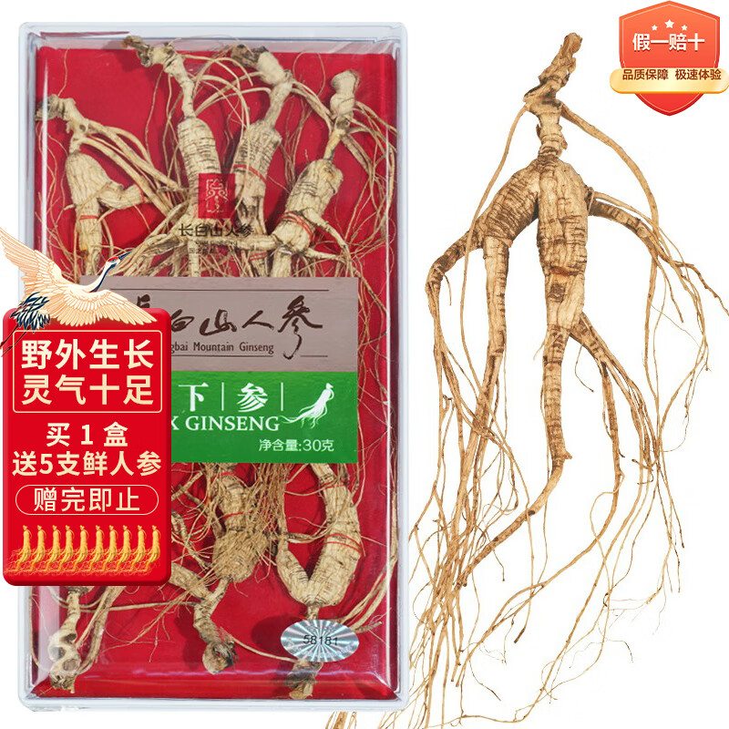 长白山人参约20年林下参30克(参芦约2指)野山参泡酒材料，年货送礼