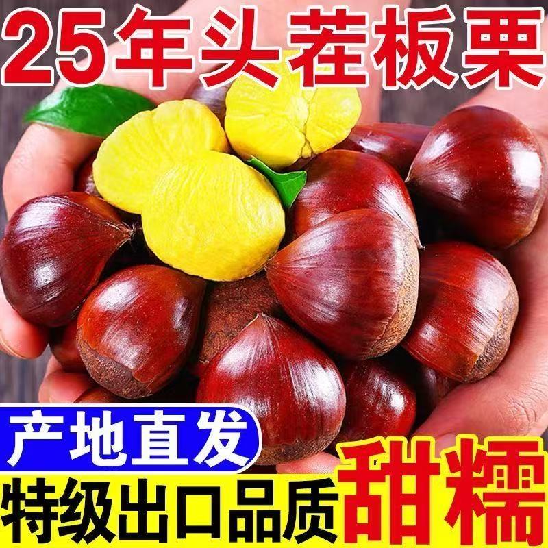 壹棵弘芯正宗丹东板栗新鲜蔬菜油板栗子油栗子当季新鲜生炒板栗生鲜整箱 严选 5斤 大果 单果28-32mm净4斤+