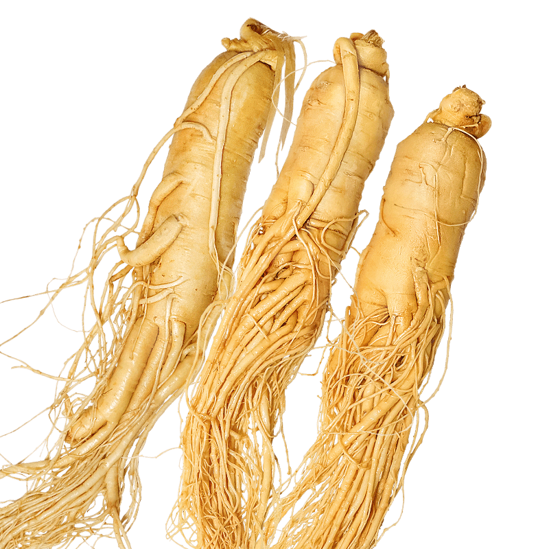 ٽۣɽ ˲ξƽ˲ 6-10 3֧װ Լ5˲ݾ 2.2Ԫ(ȯ׹)