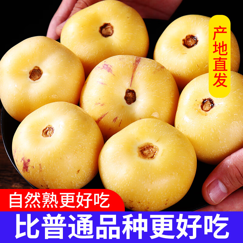 牛爱田 人参果云南石榴人参果黄白皮新鲜水果 人参果3.5斤净重3斤单果60-90g